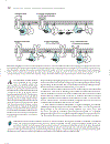 Marks Basic Medical Biochemistry A Clinical Approach