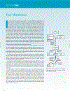 Marks Basic Medical Biochemistry A Clinical Approach