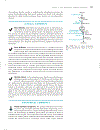 Marks Basic Medical Biochemistry A Clinical Approach