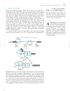 Marks Basic Medical Biochemistry A Clinical Approach