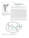 Marks Basic Medical Biochemistry A Clinical Approach