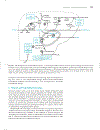 Marks Basic Medical Biochemistry A Clinical Approach