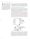 Marks Basic Medical Biochemistry A Clinical Approach