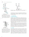 Marks Basic Medical Biochemistry A Clinical Approach