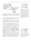 Marks Basic Medical Biochemistry A Clinical Approach