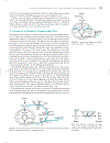 Marks Basic Medical Biochemistry A Clinical Approach