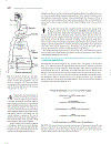 Marks Basic Medical Biochemistry A Clinical Approach