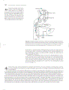 Marks Basic Medical Biochemistry A Clinical Approach