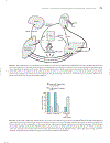 Marks Basic Medical Biochemistry A Clinical Approach