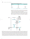 Marks Basic Medical Biochemistry A Clinical Approach