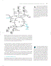 Marks Basic Medical Biochemistry A Clinical Approach