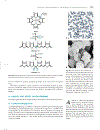 Marks Basic Medical Biochemistry A Clinical Approach