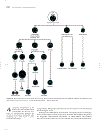 Marks Basic Medical Biochemistry A Clinical Approach