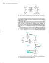 Marks Basic Medical Biochemistry A Clinical Approach