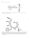 Marks Basic Medical Biochemistry A Clinical Approach