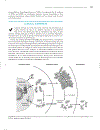 Marks Basic Medical Biochemistry A Clinical Approach