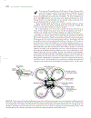 Marks Basic Medical Biochemistry A Clinical Approach