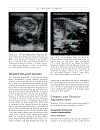 Practical Atlas of Ruminant and Camelid Reproductive Ultrasonography