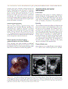 Practical Atlas of Ruminant and Camelid Reproductive Ultrasonography