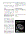 Practical Atlas of Ruminant and Camelid Reproductive Ultrasonography