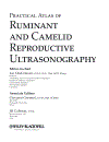 Practical Atlas of Ruminant and Camelid Reproductive Ultrasonography