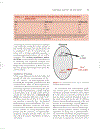 Cardiovascular Physiology Concepts