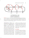 Cardiovascular Physiology Concepts