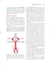 Cardiovascular Physiology Concepts