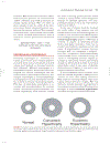 Cardiovascular Physiology Concepts