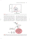 Cardiovascular Physiology Concepts