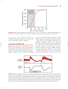 Cardiovascular Physiology Concepts