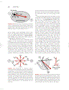 Cardiovascular Physiology Concepts