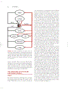 Cardiovascular Physiology Concepts