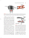 Cardiovascular Physiology Concepts