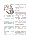 Cardiovascular Physiology Concepts