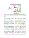 Cardiovascular Physiology Concepts