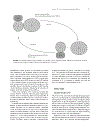 Post Genomic Cardiology