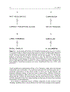 Handbook of Cognition and Emotion