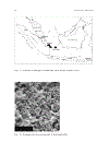 Applied Clay Mineralogy