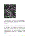 Applied Clay Mineralogy