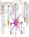 The Tobacco Atlas