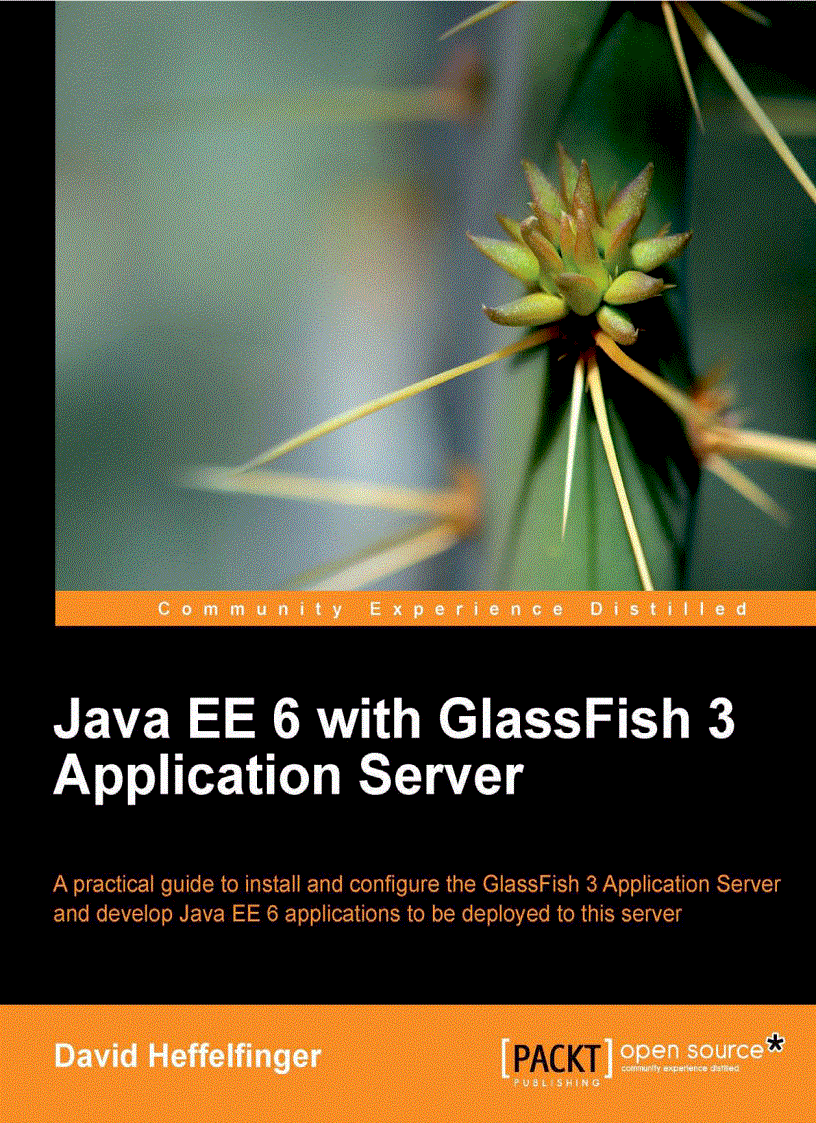 Java EE 6 with GlassFish 3 Application Server