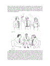 Body Language How to Read Other s thoughts by their Gestures