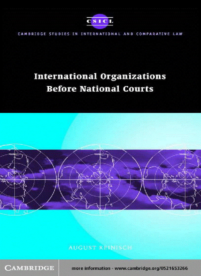 International Organizations before National Courts