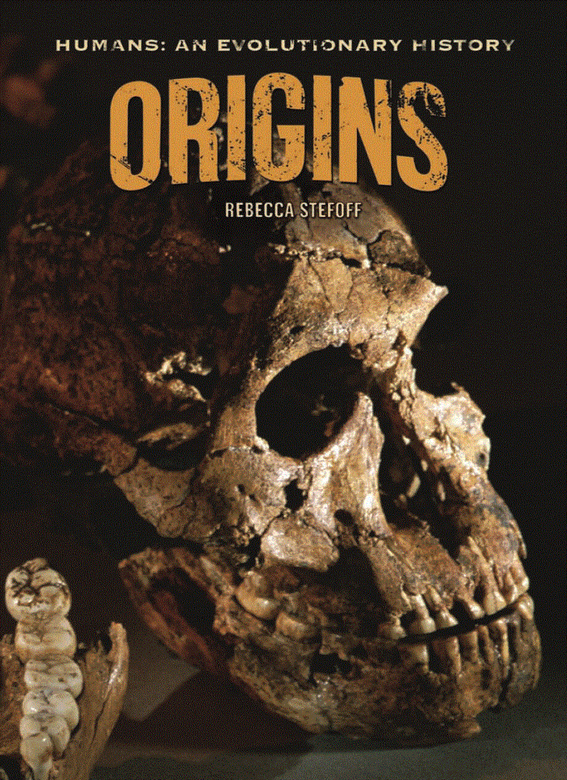 Origins Humans