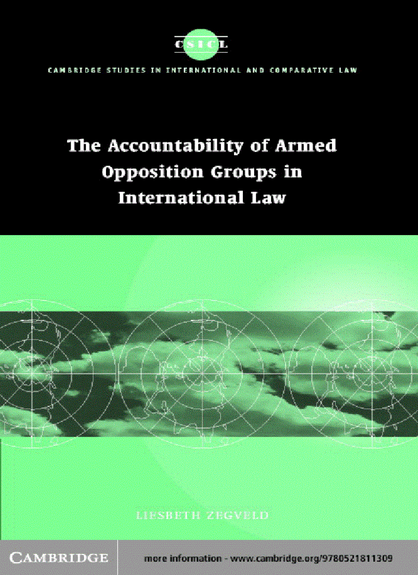 The Accountability of Armed Opposition Groups in International Law