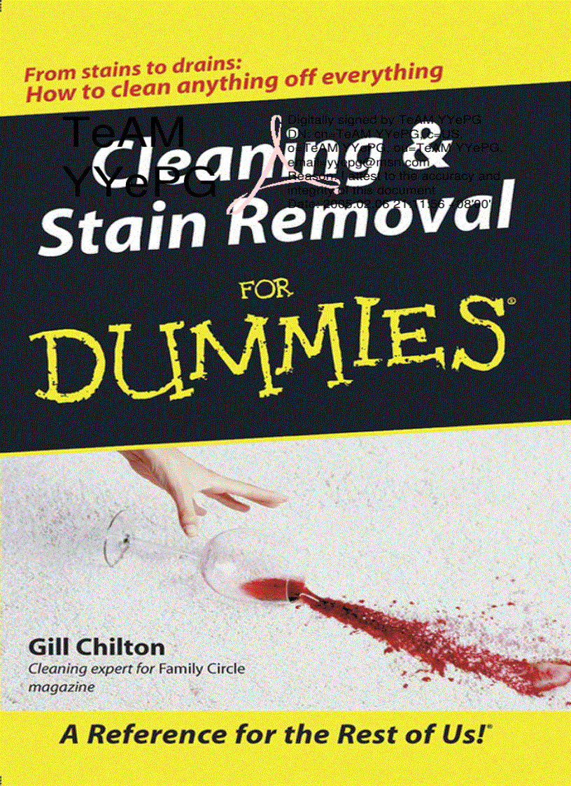 Cleaning and Stain Removal for Dummies