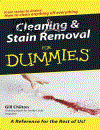 Cleaning and Stain Removal for Dummies