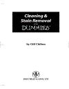 Cleaning and Stain Removal for Dummies