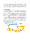 Electricity Infrastructures in the Global Marketplace